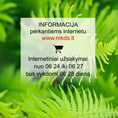 Informacija perkantiems internetu