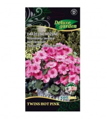 Darželinė rožūnė Twins Hot Pink
