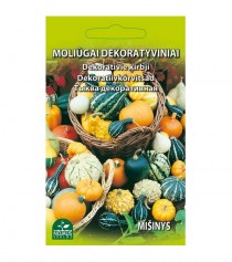 Dekoratyviniai moliūgai