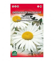 Didžiagraižė baltagalvė, 0,3 g