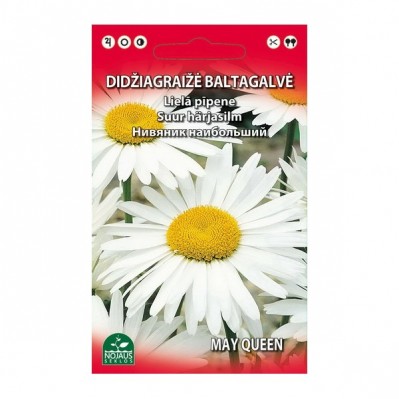 Didžiagraižė baltagalvė, 0,3 g