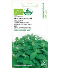 EKO mėta apskritalapė