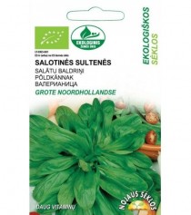 EKO salotinė sultenė GROTE NOORDHOLLANDSE