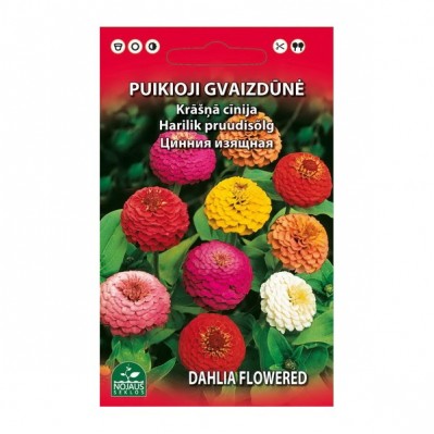  Gvaizdūnė puikioji 1 g