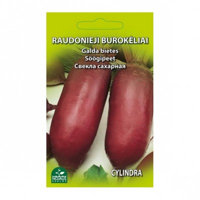 Raudonieji burokėliai Cylindra
