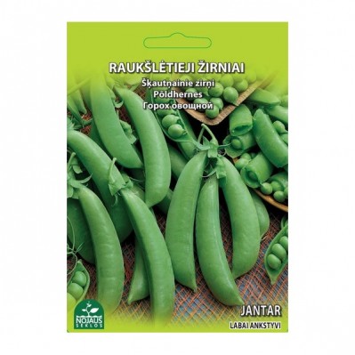Raukšlėtieji žirniai Jantar