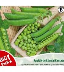 RAUKŠLĖTIEJI ŽIRNIAI Kantata, 20 g