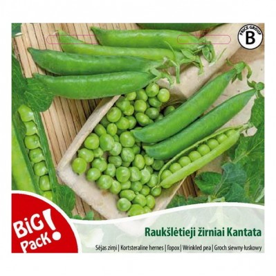 RAUKŠLĖTIEJI ŽIRNIAI Kantata, 20 g