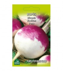 Ropės Purple top white globe