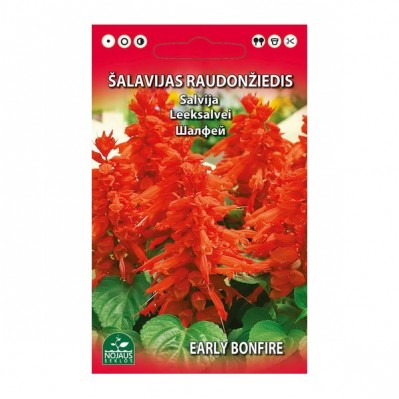 Šalavijas raudonžiedis 0,2 g
