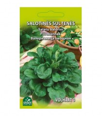 Salotinės sultenės Volhart 3