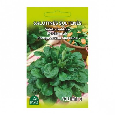 Salotinės sultenės Volhart 3