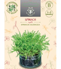 Sėklos daigams Daržiniai špinatai 10g (SPINACIA OLERACEA)