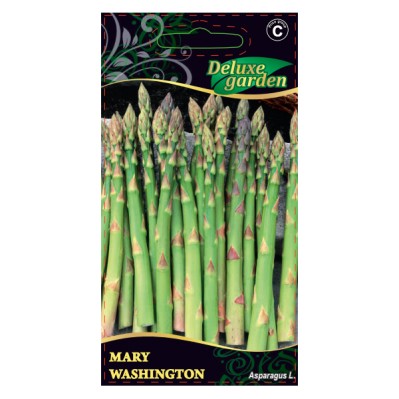 Smidrai MARY WASHINGTON