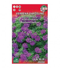 Verbena darželinė Lilac Blue (svyranti) 0,1 g
