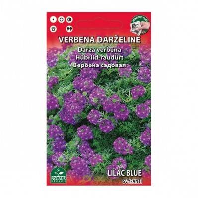 Verbena darželinė Lilac Blue (svyranti) 0,1 g